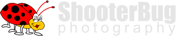 ShooterBug photography