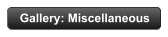 Gallery: Miscellaneous