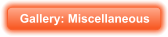 Gallery: Miscellaneous
