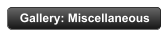 Gallery: Miscellaneous