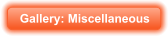 Gallery: Miscellaneous