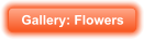 Gallery: Flowers